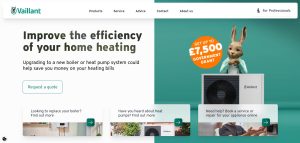 Vaillant