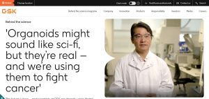 GlaxoSmithKline (GSK)