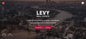 Levy Real Estate