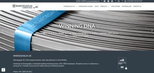 Who Is Marcegaglia UK Ltd