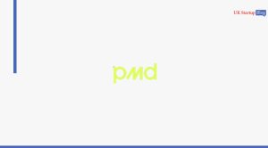 pmd business finance